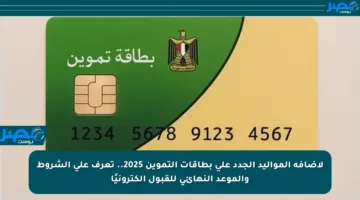 لإضافة المواليد الجدد على بطاقات التموين 2025.. تعرف على الشروط والموعد النهائي للقبول إلكترونيًا